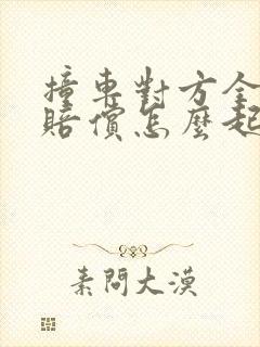 撞车对方全责不赔偿怎么起诉