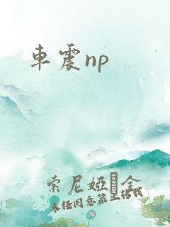 车震np