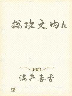 总攻文肉h