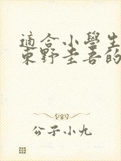 适合小学生看的东野圭吾的书