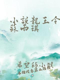 小说龙王令陈平苏雨琪