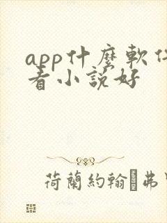 app什么软件看小说好