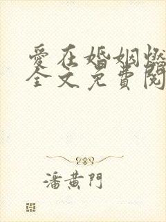 爱在婚姻燃尽时全文免费阅读