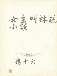 女主叫林疏影的小说