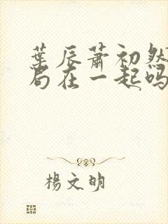 叶辰萧初然大结局在一起吗