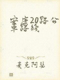 安康20路公交车路线
