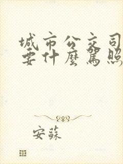 城市公交司机需要什么驾照