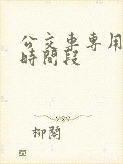 公交车专用车道时间段