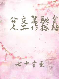 公交驾驶员的个人工作总结