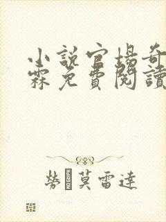 小说官场奇才李霖免费阅读