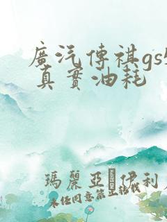 广汽传祺gs5 真实油耗