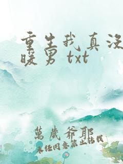 重生我真没想当暖男 txt