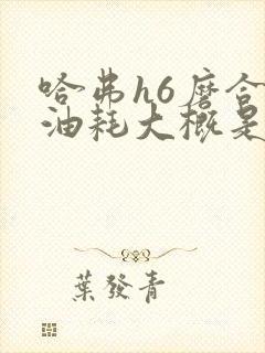 哈弗h6磨合期油耗大概是多少