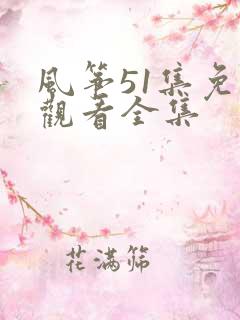 风筝51集免费观看全集 风筝51集免费观看全集