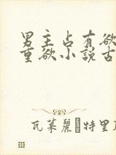 男主占有欲强且重欲小说古言