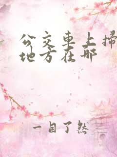 公交车上扫码的地方在哪