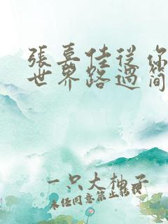 张嘉佳从你的全世界路过简介 张嘉佳从你的全世界路过简介