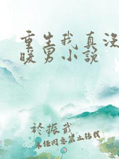 重生我真没想当暖男小说