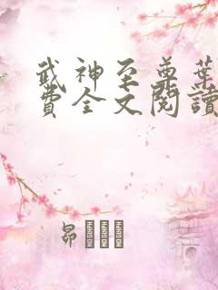 武神至尊叶风免费全文阅读无弹窗