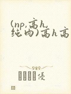 (np,高h,纯肉)高h高辣bl