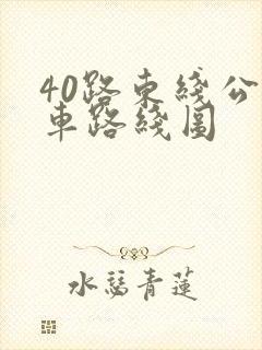 40路东线公交车路线图 40路东线公交车路线图