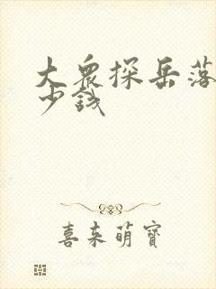 大众探岳落地多少钱