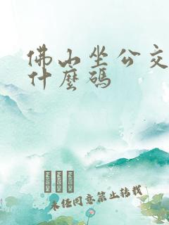 佛山坐公交车用什么码