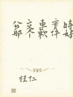 公交车实时查询哪个软件好