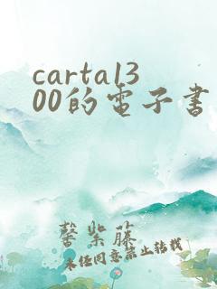 carta1300的电子书阅读器