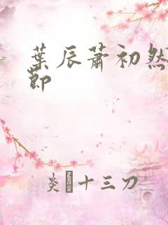 叶辰萧初然新章节