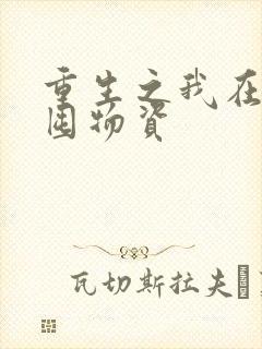 重生之我在末世囤物资