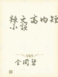 辣文高肉短文集小说