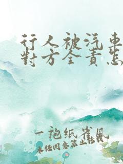 行人被汽车撞了对方全责怎么赔偿