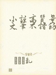 小说高质量言情文笔不错的