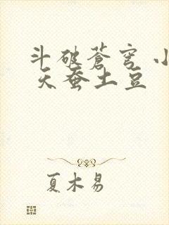 斗破苍穹 小说 天蚕土豆