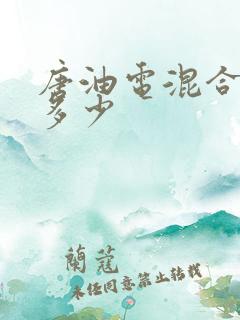 唐油电混合油耗多少
