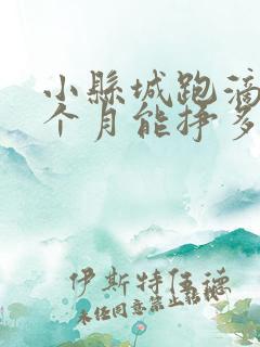 小县城跑滴滴一个月能挣多少钱