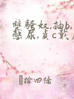 双骚奴,抽b,憋尿,贞c戴虐文小说