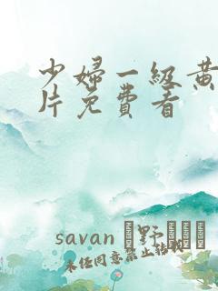 少妇一级黄色淫片免费看