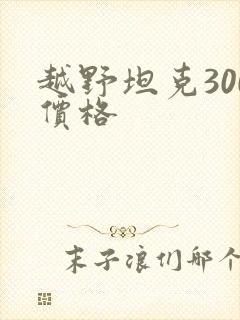 越野坦克300价格
