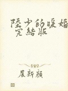 陆少的暖婚新妻 完结版