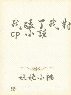 我磕了我对家的cp 小说