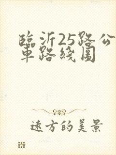 临沂25路公交车路线图