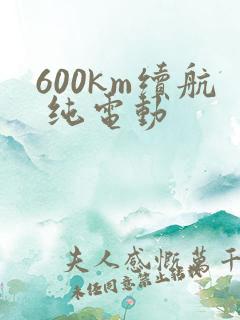 600km续航 纯电动 600km续航 纯电动