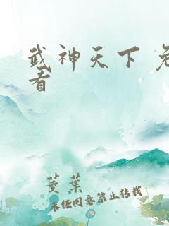 武神天下 免费看