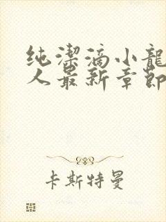 纯洁滴小龙捞尸人最新章节更新