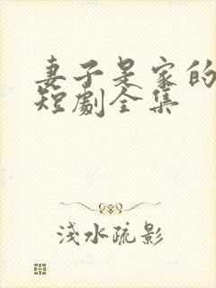 妻子是家的核心短剧全集 妻子是家的核心短剧全集