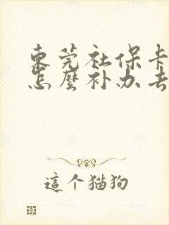 东莞社保卡丢了怎么补办去哪里补