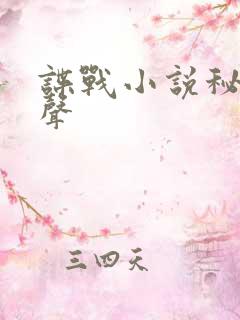 谍战小说秘战无声