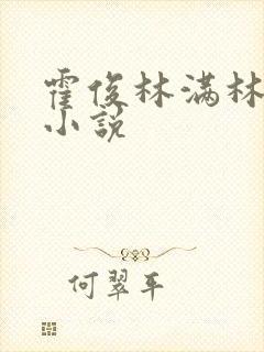 霍俊林满林舒乔小说